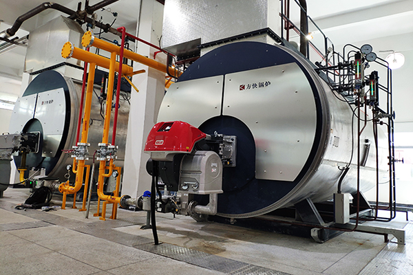 海南中化制藥6噸一體冷凝燃?xì)庹羝仩t案例