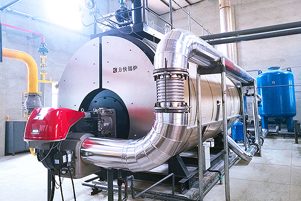 北京雙鷺藥業股份有限公司1噸冷凝蒸汽鍋爐應用案例