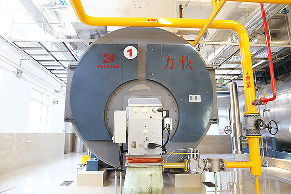 利民制藥有限公司4噸一體燃?xì)庹羝仩t應(yīng)用案例