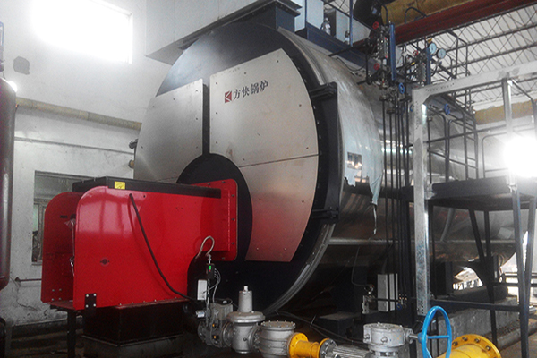 力邦制藥有限公司6噸一體燃?xì)庹羝仩t應(yīng)用案例
