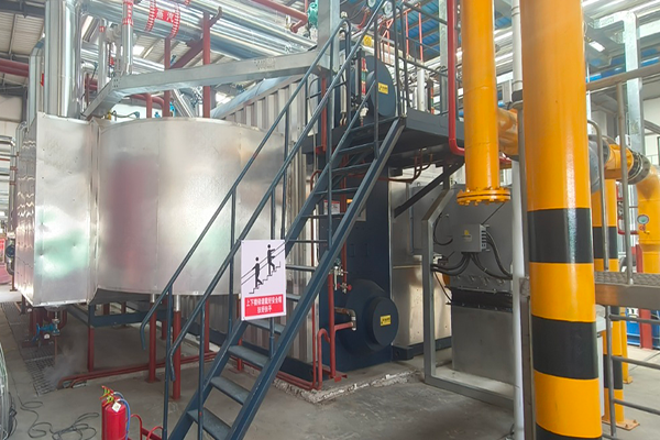 山東某藥業有限公司水管蒸汽鍋爐一臺 30噸