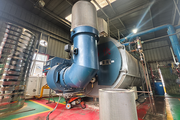 霸州某飼料公司使用方快鍋爐的WNS4-1.25-YQ-L一臺4噸鍋爐