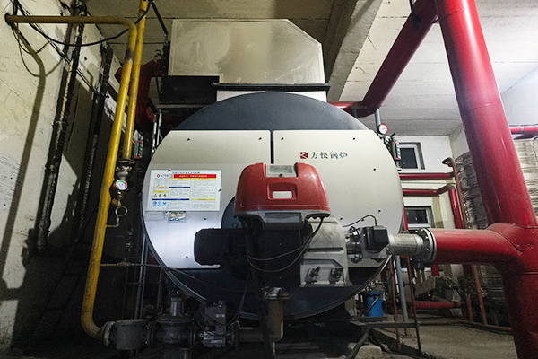 唐山某動物食品公司使用方塊鍋爐一臺WNS3-1.25-YQ-NL鍋爐