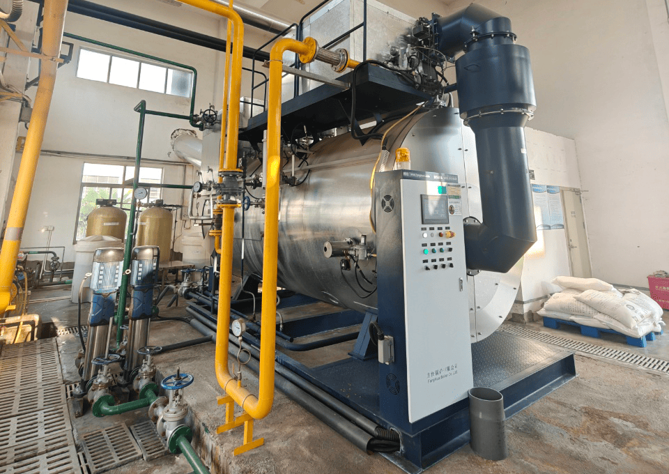 湖南某生物制藥公司使用方快鍋爐一臺6噸燃?xì)庹羝仩t