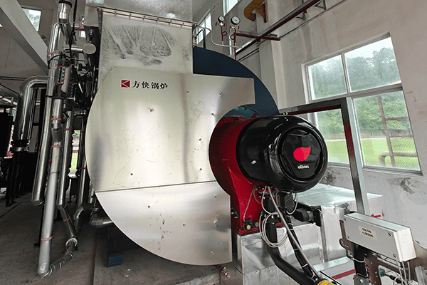 廣東某制藥廠使用方快鍋爐的10噸燃氣蒸汽鍋爐