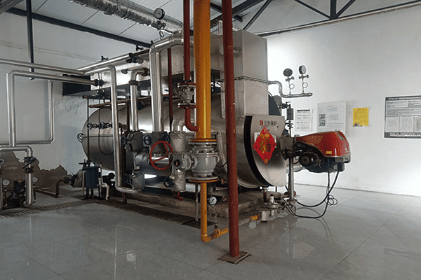 江蘇大信飼料有限公司一臺(tái)2噸燃?xì)庹羝仩t案例