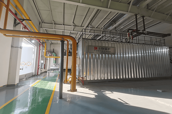 馬鞍山港能投智慧能源使用方快鍋爐25噸燃?xì)馑苷羝仩t