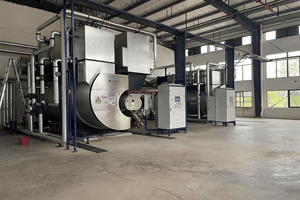 江西新綠色藥業科技發展有限公司一臺10噸燃氣蒸汽鍋爐案例